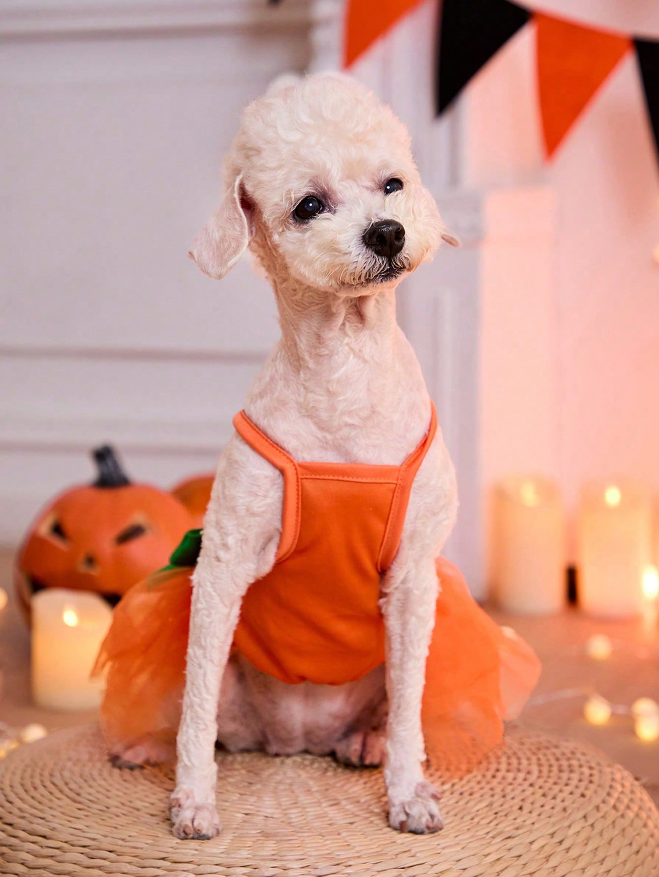 1pc Halloween Orange Pumpkin & Funny Face Print Cute Mesh Tulle Dress For Cats/Dogs