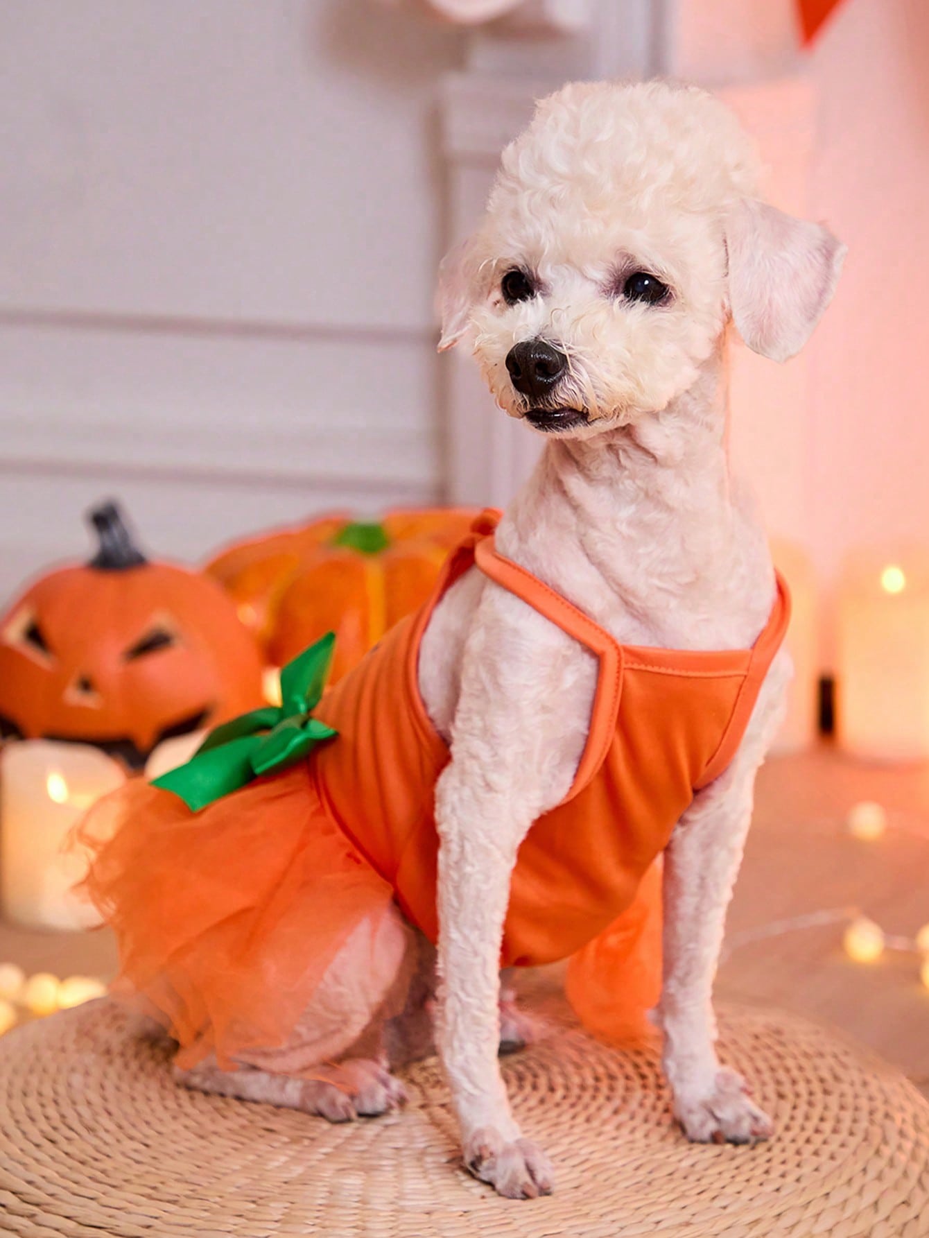 1pc Halloween Orange Pumpkin & Funny Face Print Cute Mesh Tulle Dress For Cats/Dogs