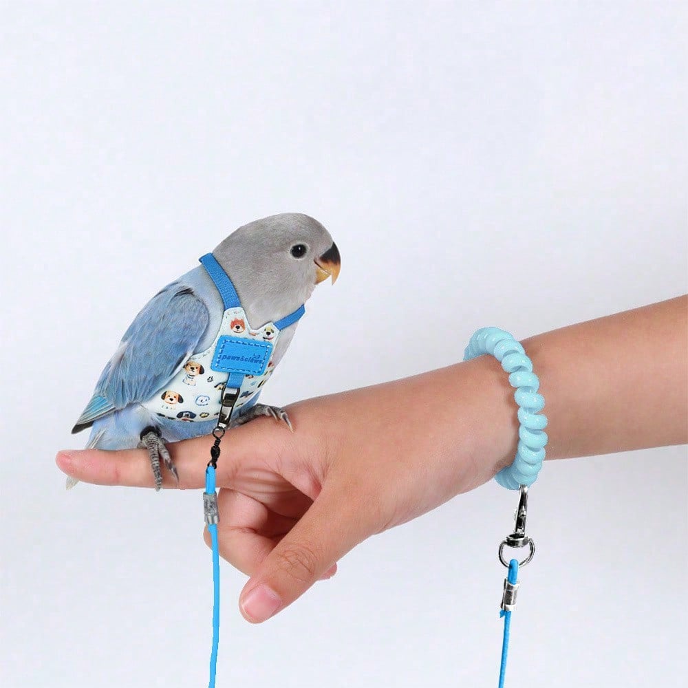 Baby blue fabric bird and parrot harness leash set with adjustable harness, training leash, and wrist strap for outdoor anti-lost use