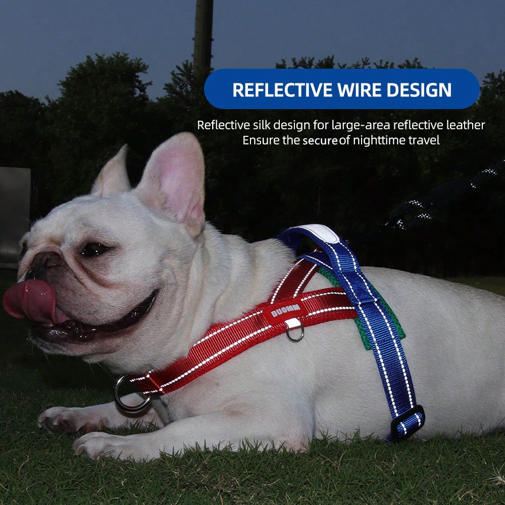 Multicolor soft padded dog harness with adjustable chest strap, reflective detail, and anti-pull vest design for small and medium dogs.
