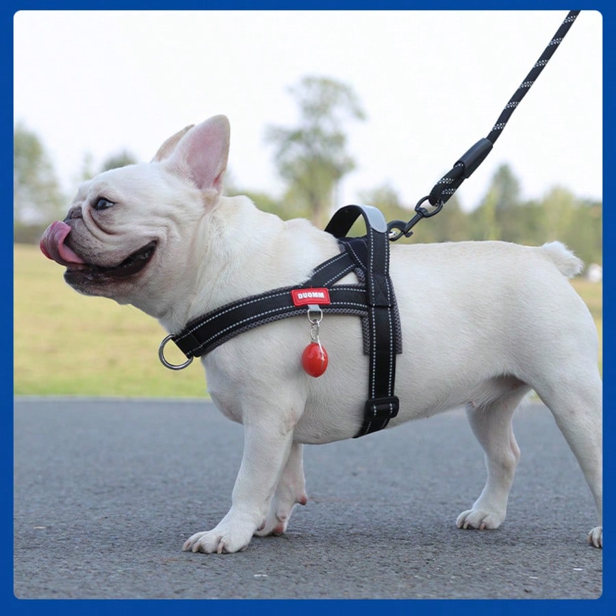 Multicolor soft padded dog harness with adjustable chest strap, reflective detail, and anti-pull vest design for small and medium dogs.