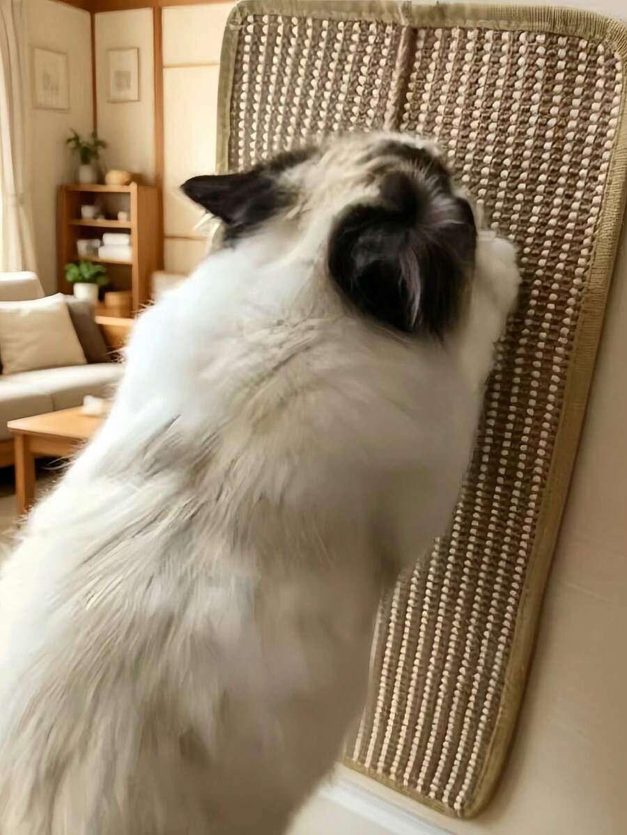 Vertical sisal cat scratching board mounted as a sofa protector with hook and loop fasteners for cats.