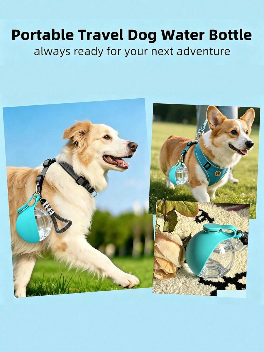 Portable 2-in-1 stainless steel dog water bottle with a colorblock design and foldable bowl, 285 ml capacity for dogs and cats.