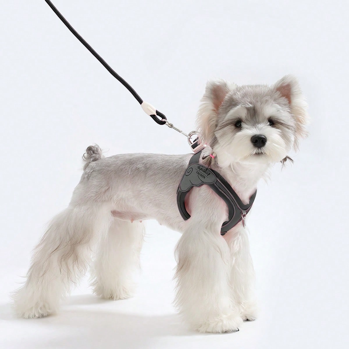 Multicolor colorblock step-in dog harness made of polyester breathable mesh with reflective safety details for small dogs and cats