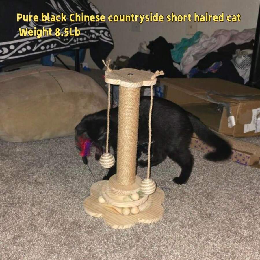 Multicolor wooden cat scratch pole activity center featuring a scratching post, two horizontal ball tracks, an interactive feather toy, and hanging sisal balls.
