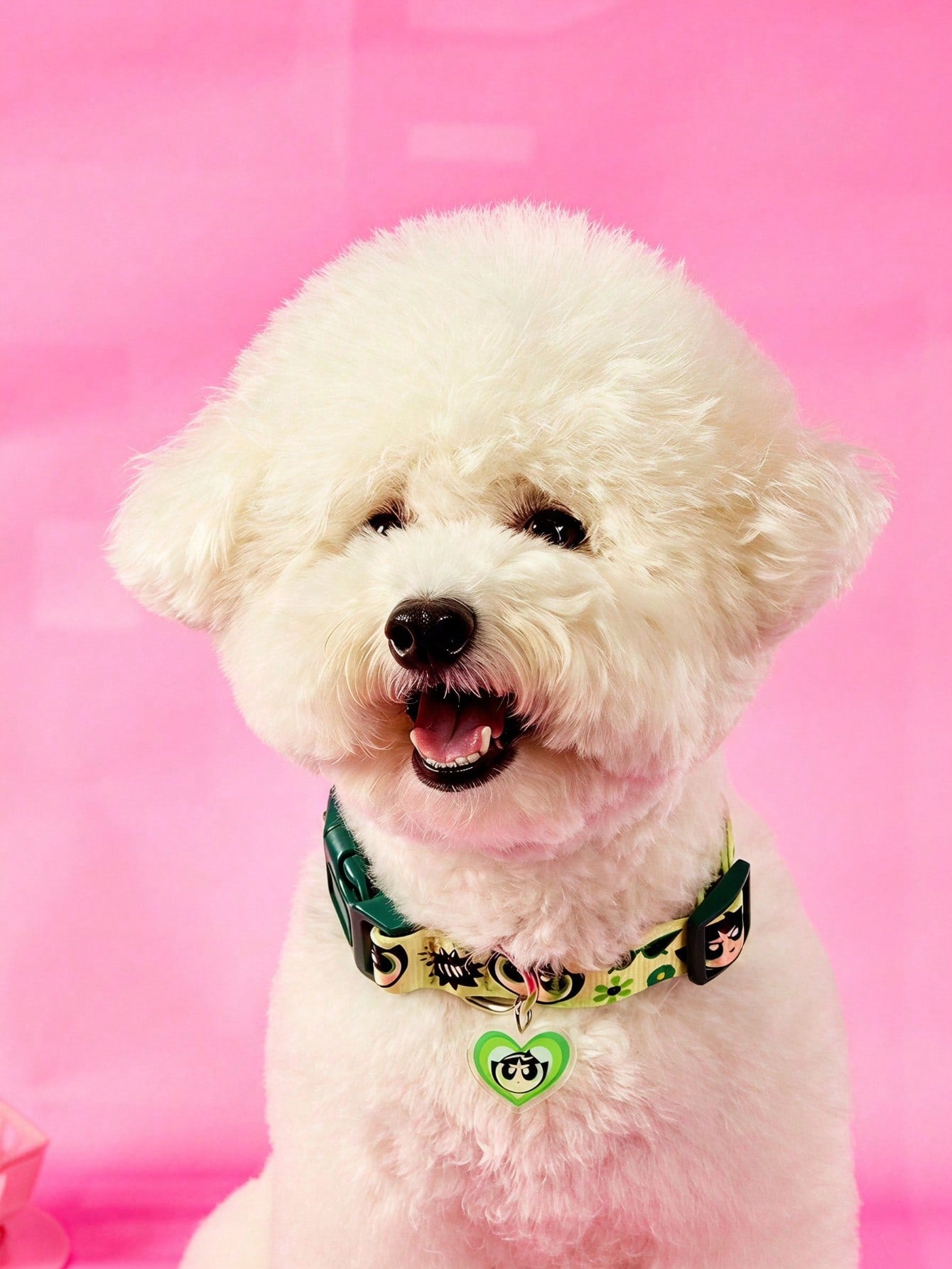 Green polyester X PENSIN pet collar with cartoon pattern and matching pendant for cats and dogs