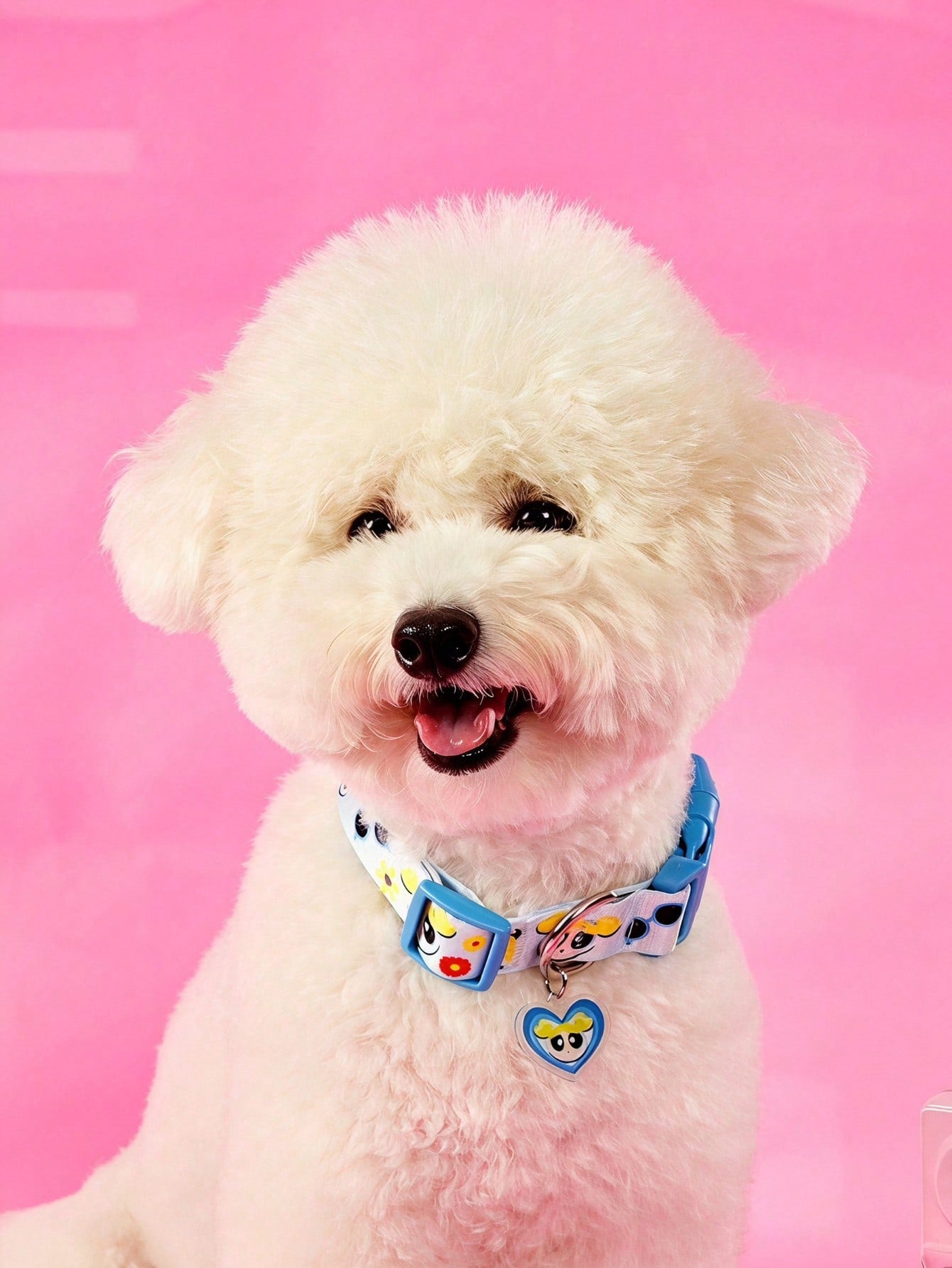 Green polyester X PENSIN pet collar with cartoon pattern and matching pendant for cats and dogs