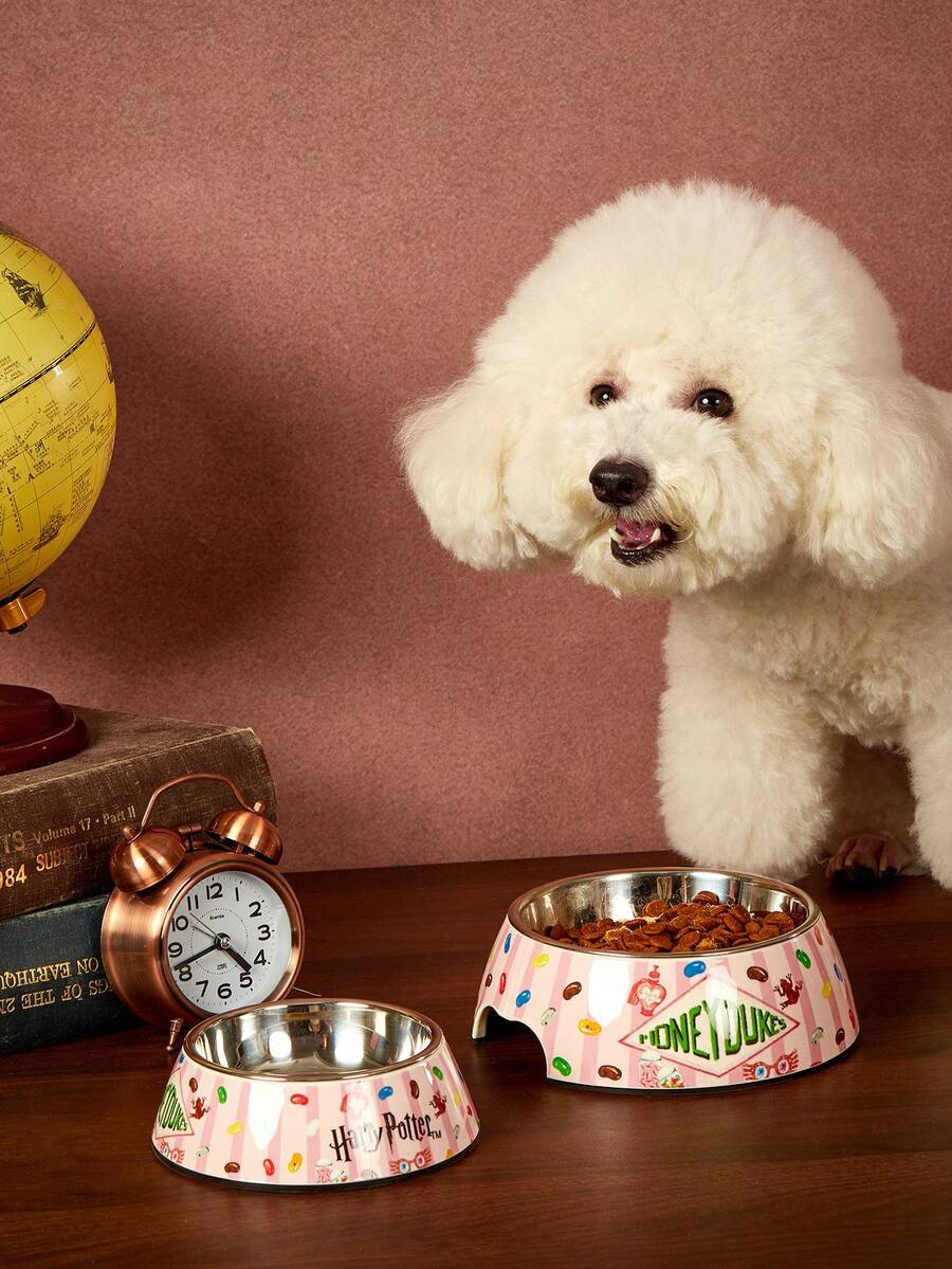 Dual-layer pet food dish with stainless steel liner and sleek non-skid melamine base for small animals.