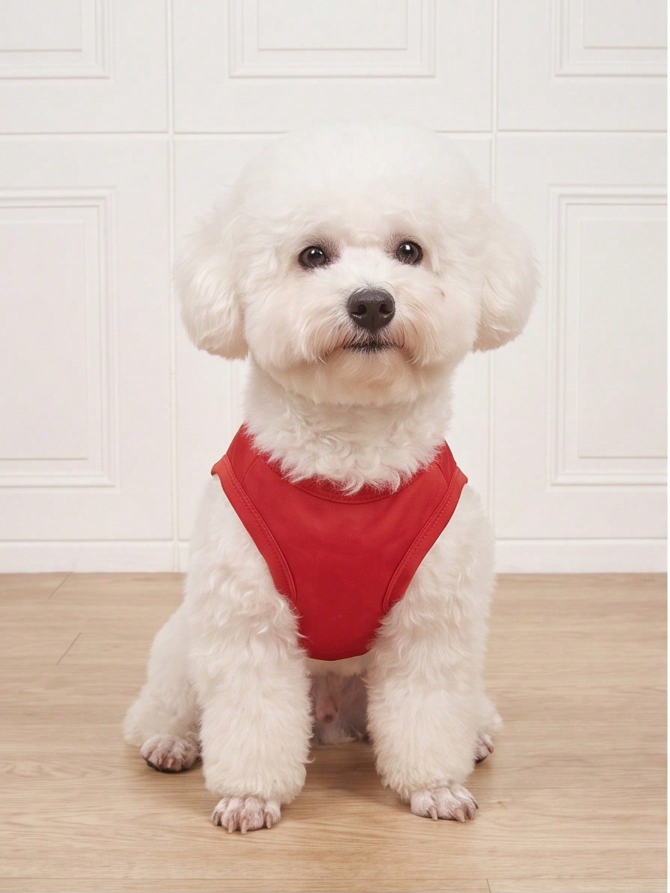 1pc "Mama's Boy" Slogan Graphic Pet Vest, Flea Repellent, Anti-Shedding, Insulation, Breathable For Small/Medium Dogs & Cats, Indoor/Outdoor Use