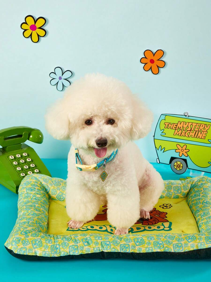 Multicolor memory foam pet bed with brown puppy flower print made of 100% polyester fabric for cats and dogs