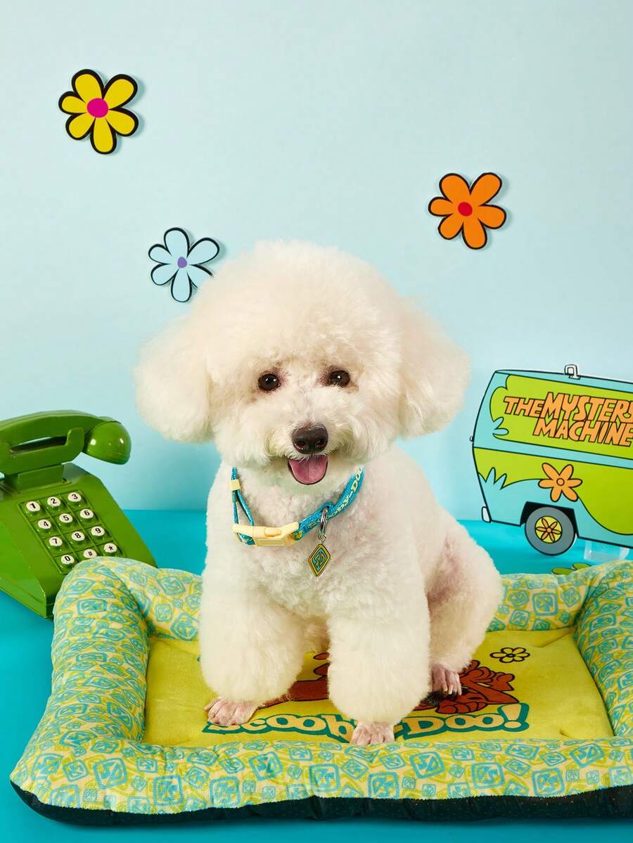 Multicolor memory foam pet bed with brown puppy flower print made of 100% polyester fabric for cats and dogs